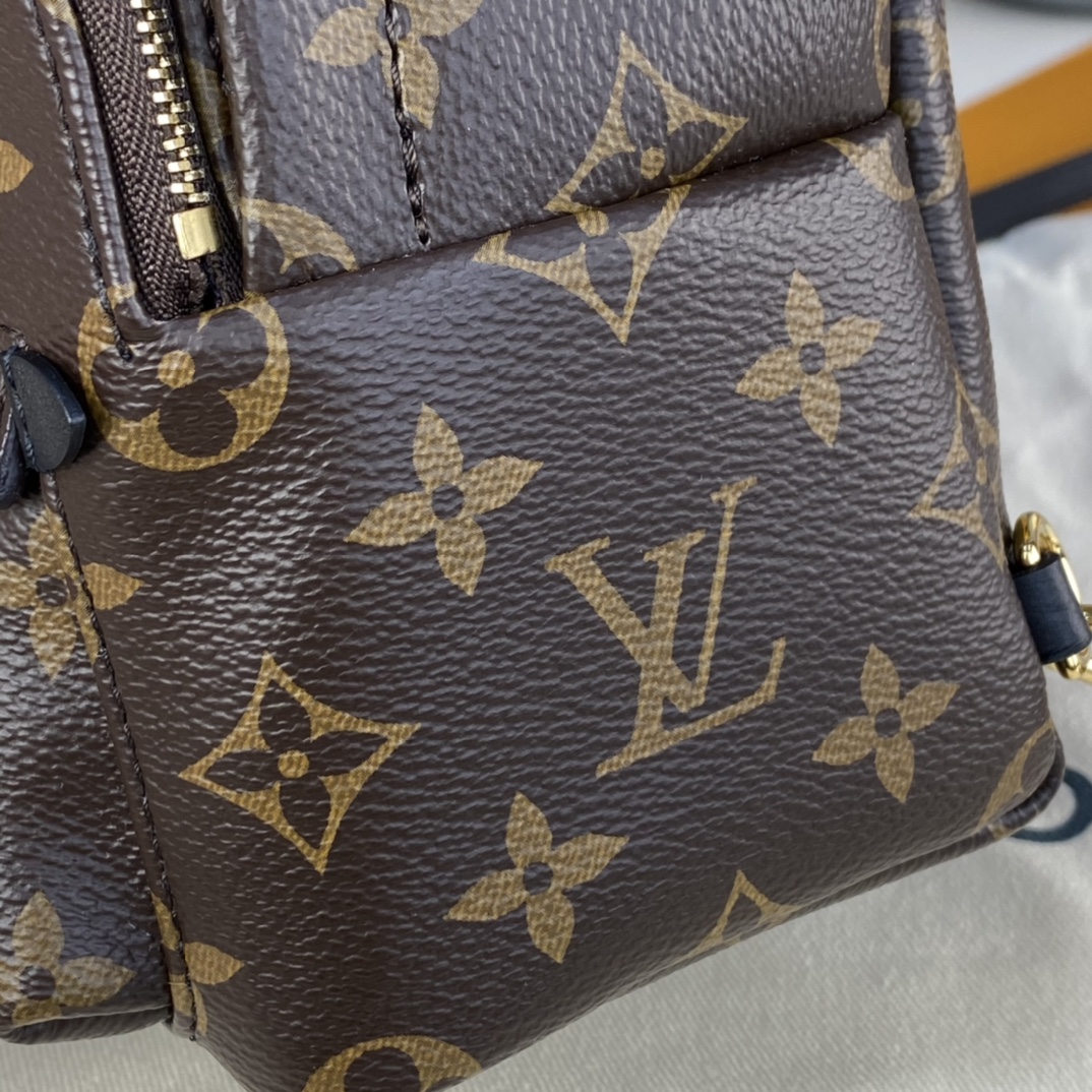 Louis Vuitton PALM SPRINGS PM Backpack Monogram M44871